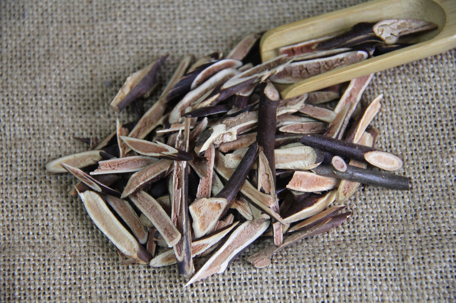 瑞龍中藥大講堂｜皂角刺