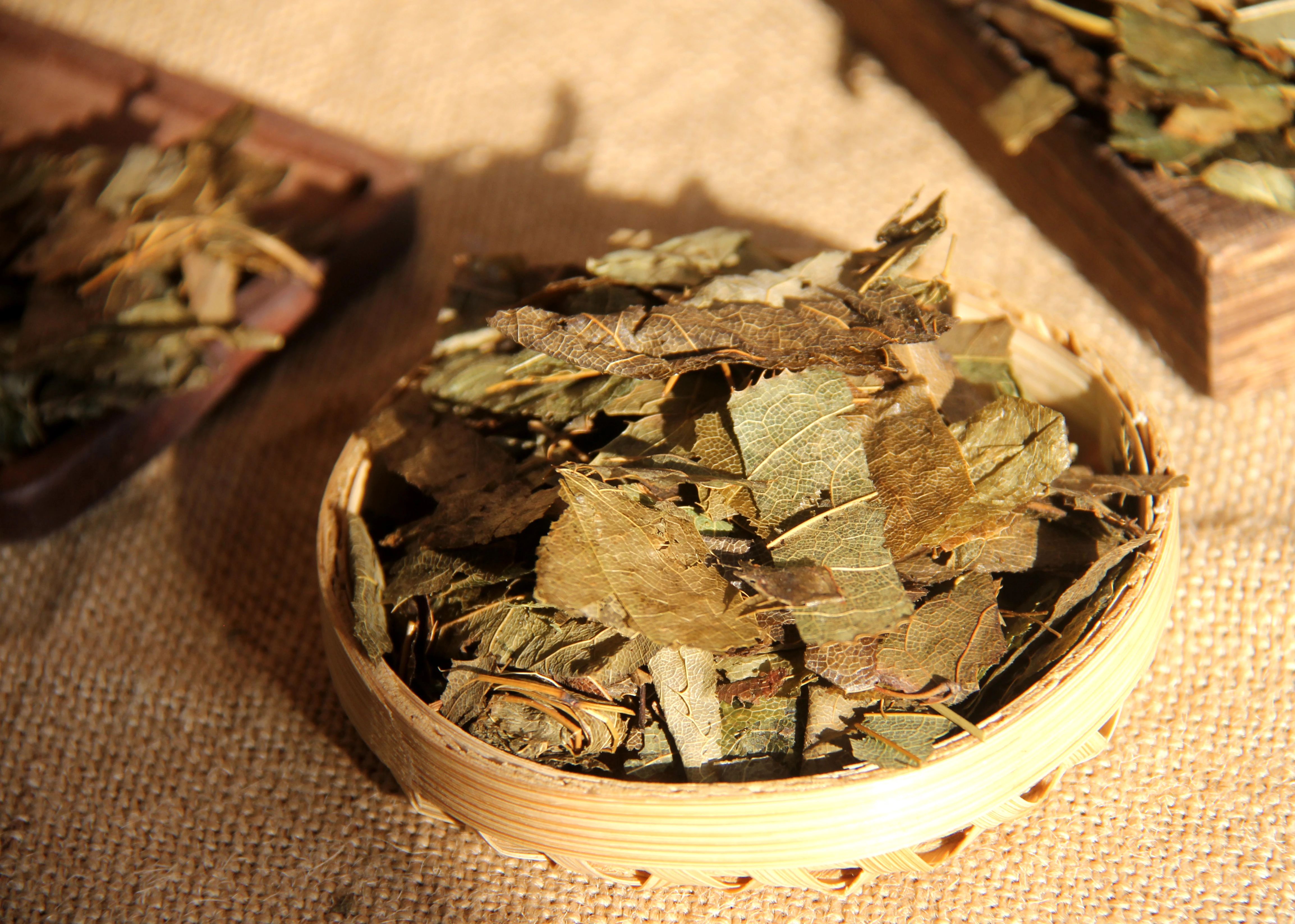 瑞龍中藥大講堂｜河南道地藥材淫羊藿