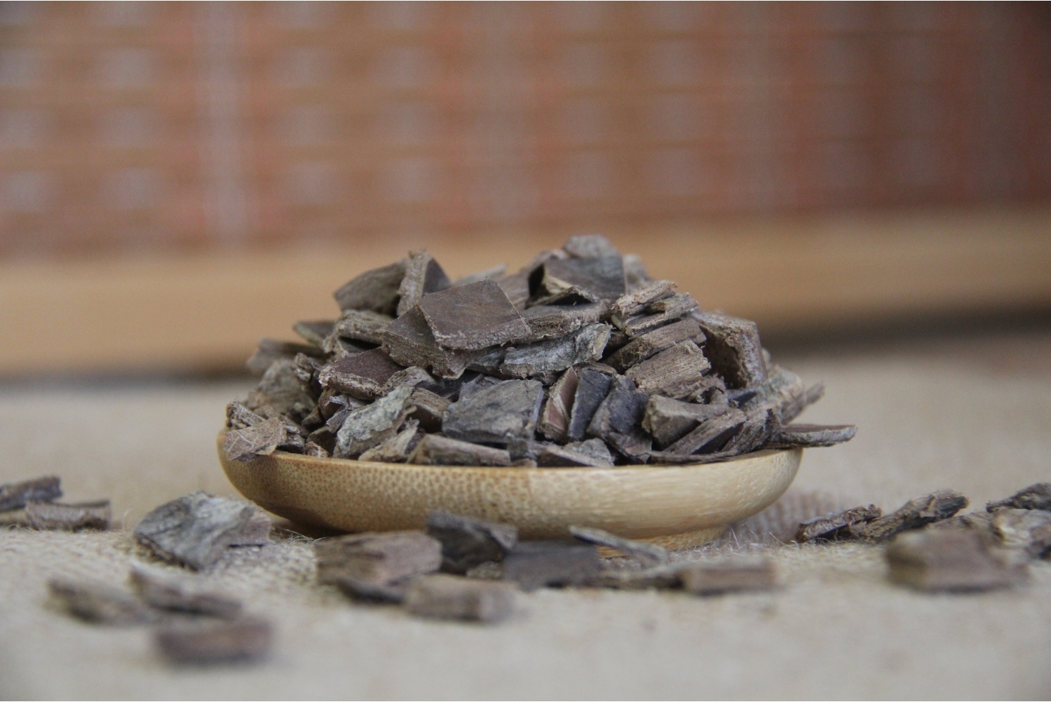 瑞龍中藥大講堂｜河南道地藥材杜仲